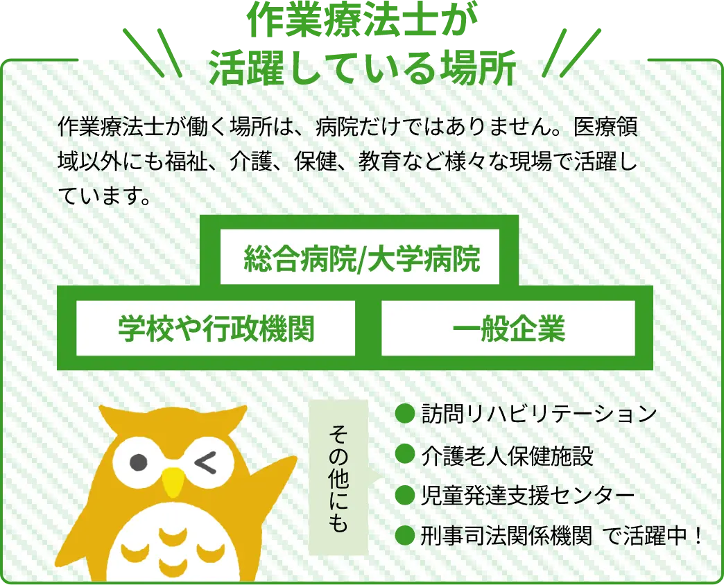 業療法士活躍している場所 作業療法士が働く場所は、病院だけではありません。医療領域以外にも福祉、介護、保健、教育など様々な現場で活躍しています。